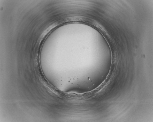 X0000074960786200609291911