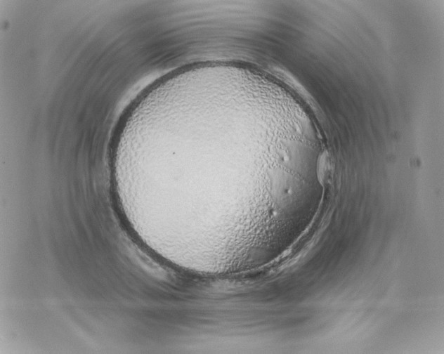 X0000074960787200609291911