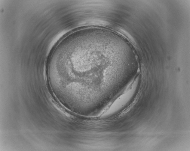 X0000074960788200609291911