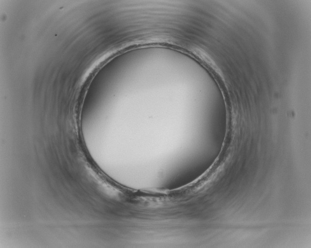 X0000074960789200609291911