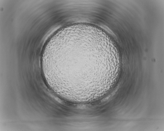 X0000074960790200609291911