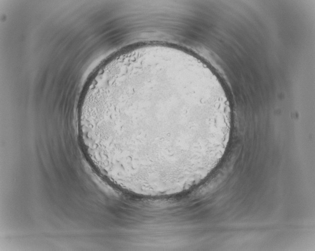 X0000074960791200609291911