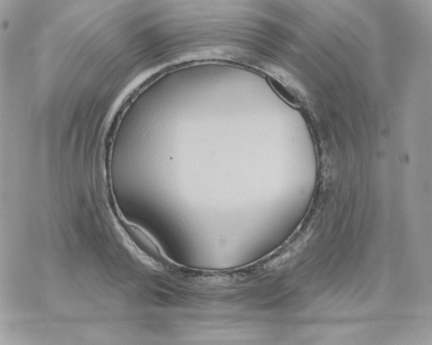 X0000074960792200609291911