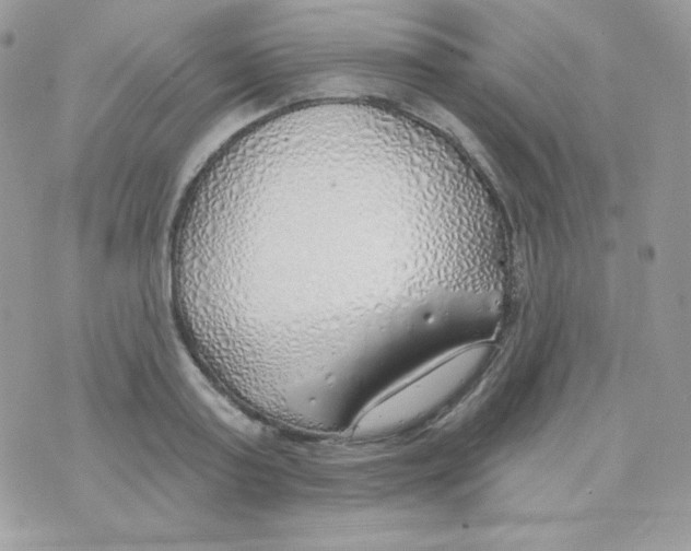 X0000074960795200609291911