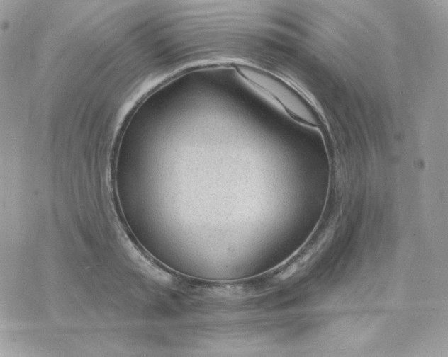 X0000074960797200609291911