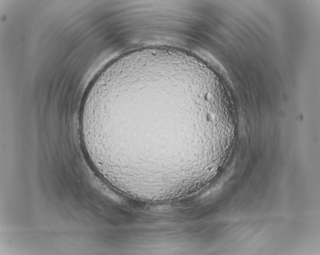 X0000074960798200609291911