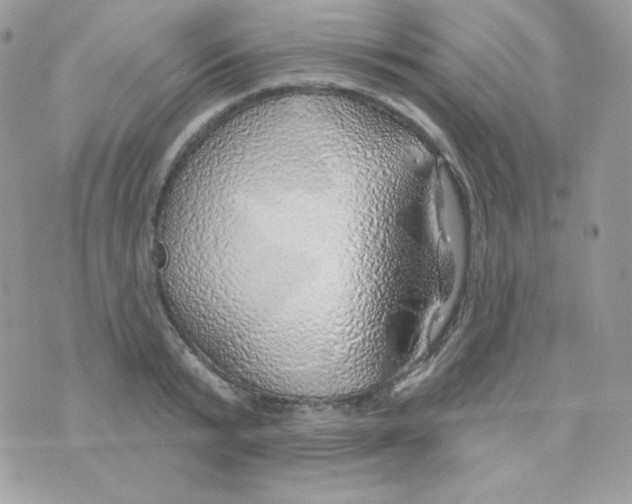 X0000074960799200609291911