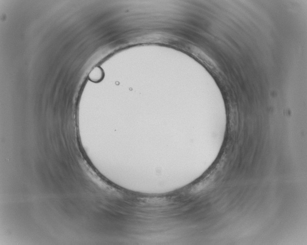 X0000074960800200609291911