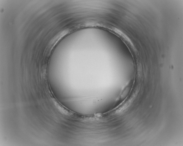 X0000074960801200609291911