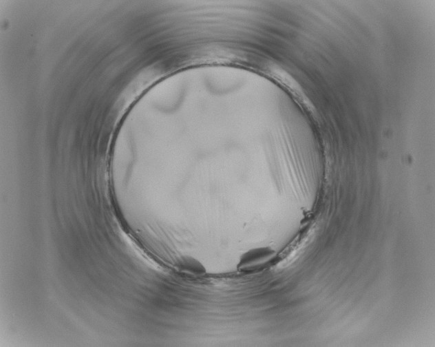 X0000074960802200609291911