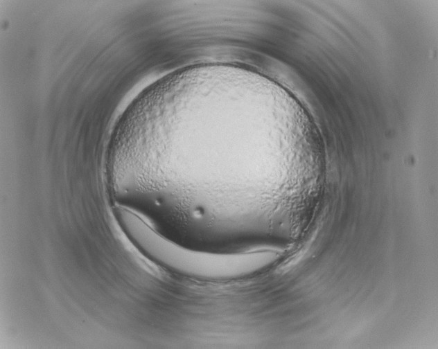 X0000074960803200609291911