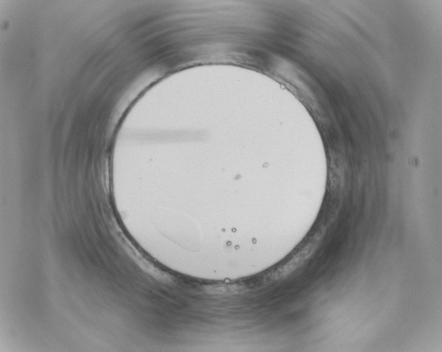 X0000074960804200609291911