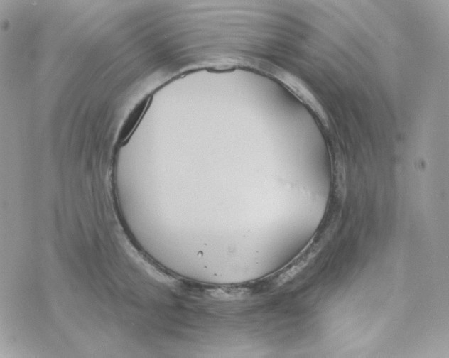 X0000074960805200609291911