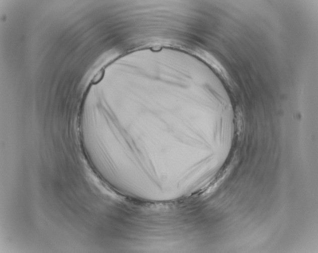 X0000074960806200609291911