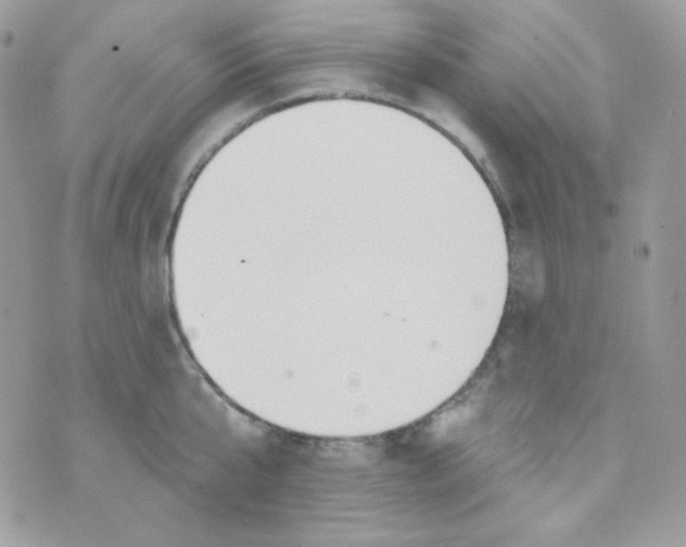 X0000074960807200609291911