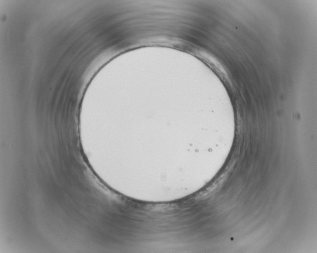 X0000074960808200609291911