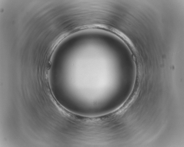 X0000074960809200609291911