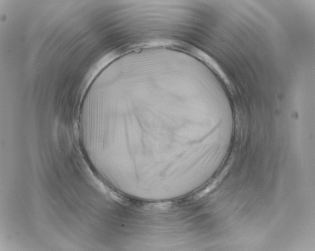 X0000074960810200609291911