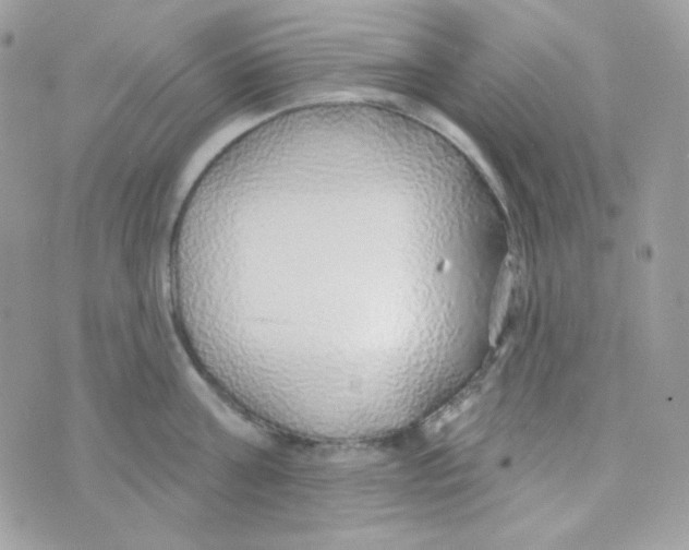 X0000074960811200609291911