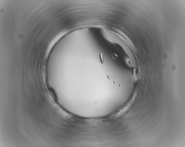 X0000074960812200609291911