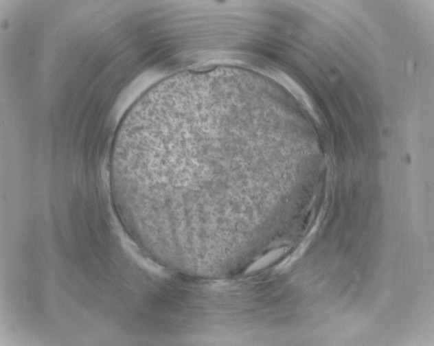 X0000074960814200609291911