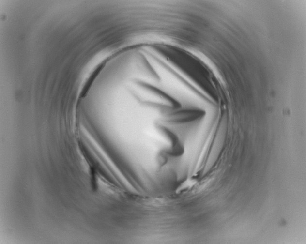 X0000074960815200609291911