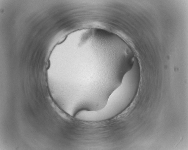 X0000074960816200609291911