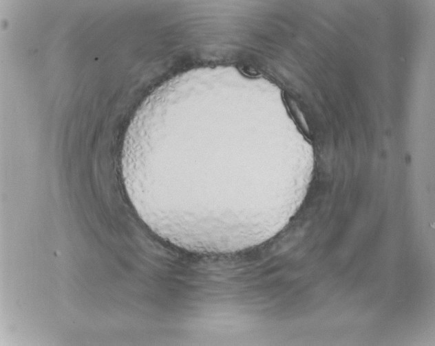 X0000074960817200609291910