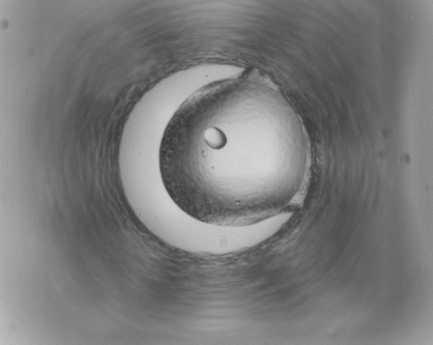 X0000074960818200609291910