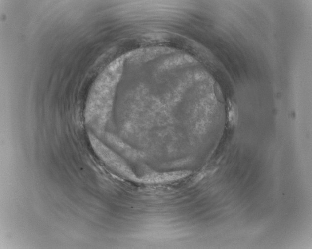 X0000074960819200609291910