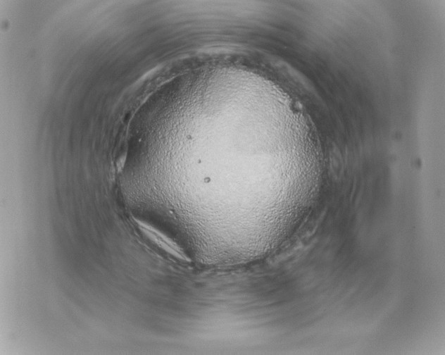 X0000074960821200609291910