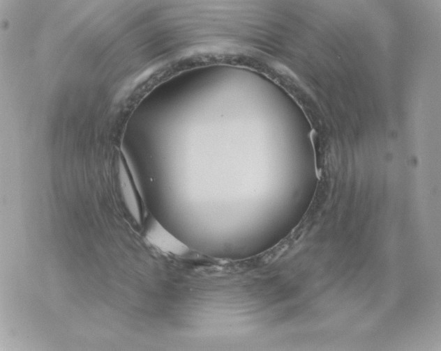 X0000074960822200609291910