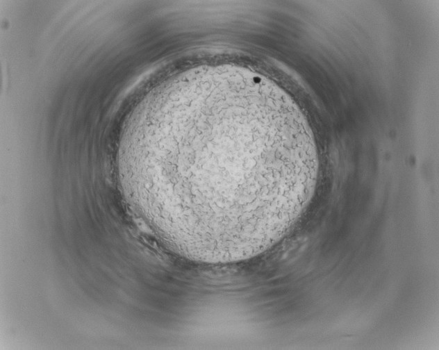 X0000074960823200609291910