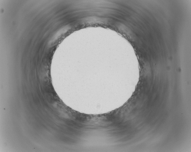 X0000074960824200609291910