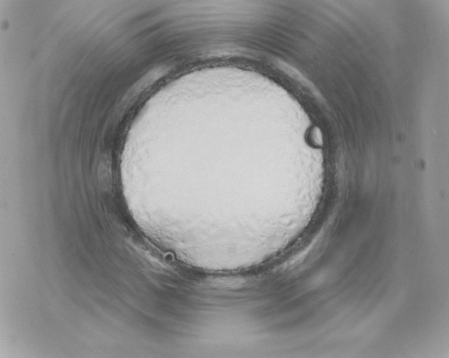 X0000074960825200609291910