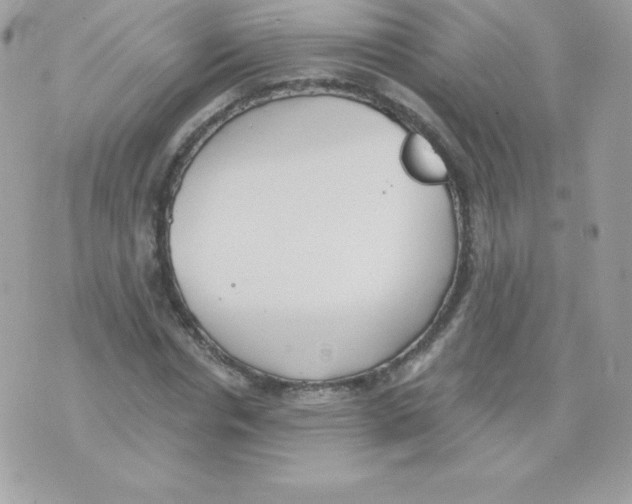 X0000074960826200609291910