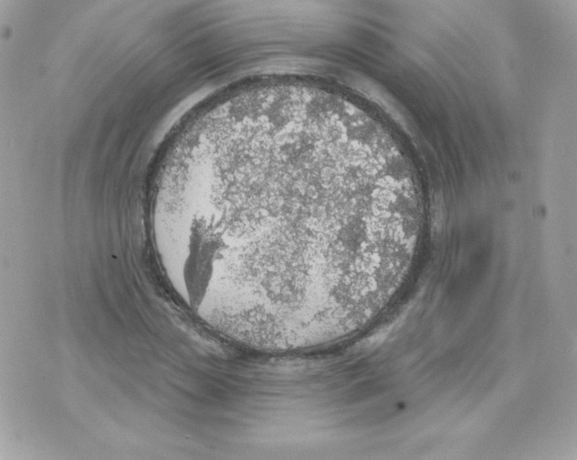 X0000074960829200609291910