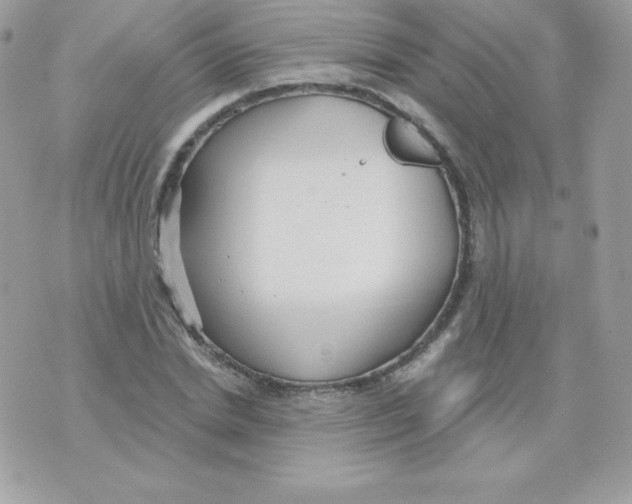 X0000074960830200609291910