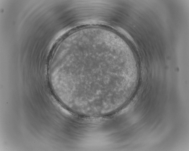 X0000074960831200609291910