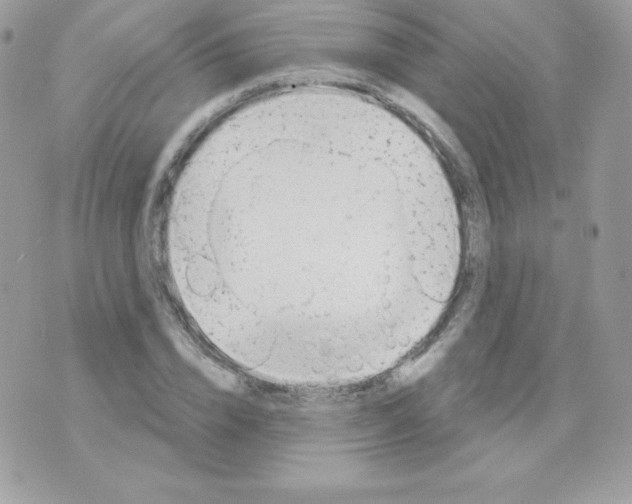 X0000074960832200609291910