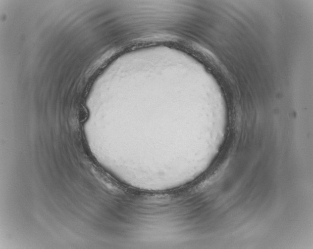 X0000074960833200609291910