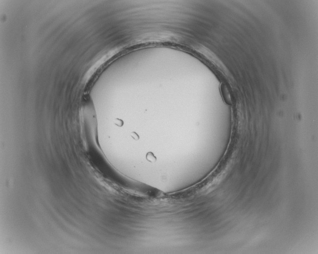 X0000074960834200609291910