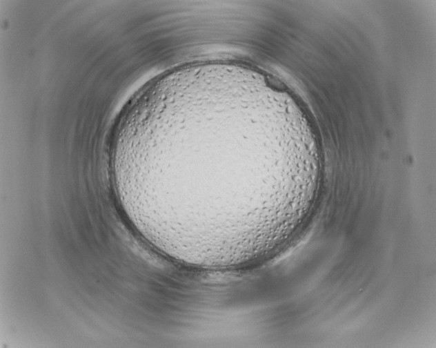 X0000074960835200609291910