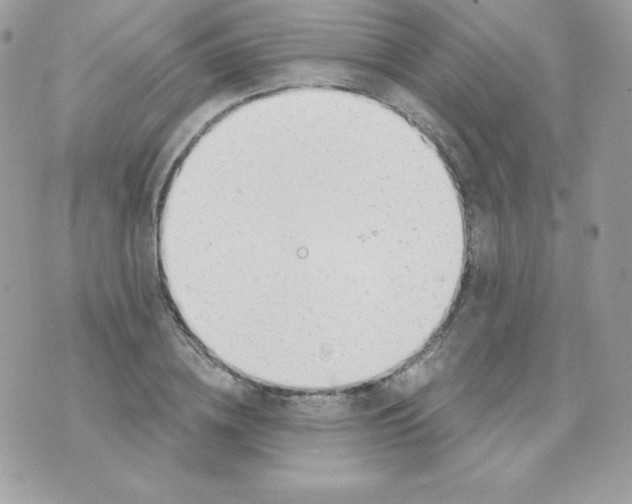 X0000074960836200609291910