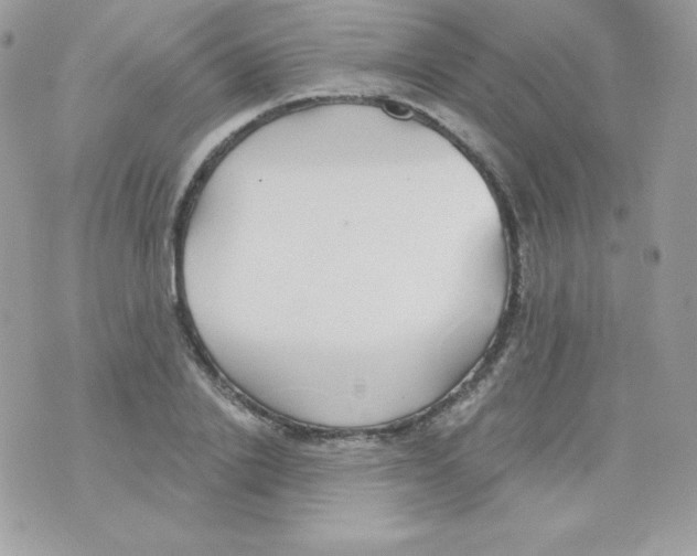 X0000074960838200609291910