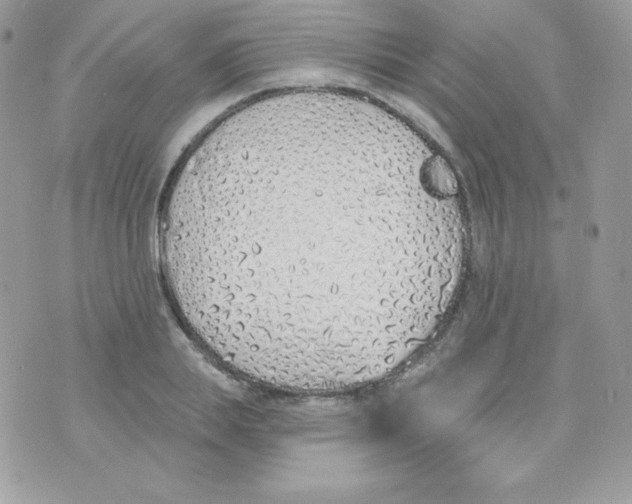 X0000074960839200609291911