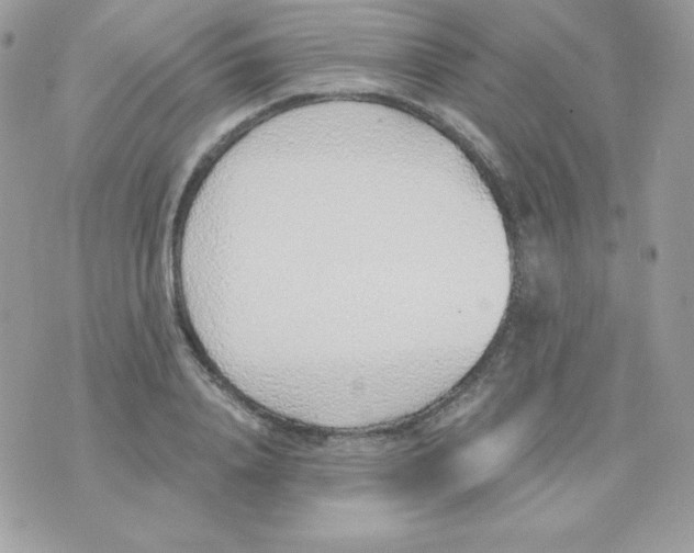 X0000074960840200609291911