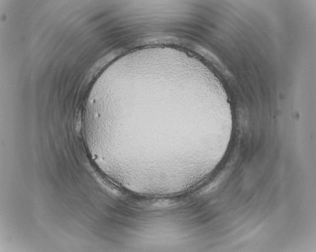 X0000074960841200609291911