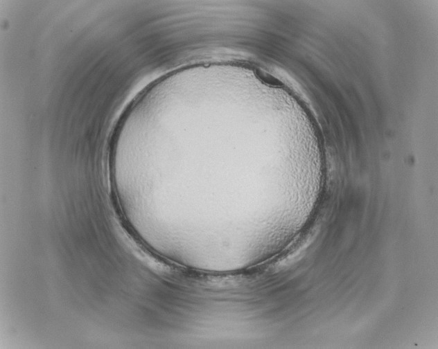 X0000074960843200609291911