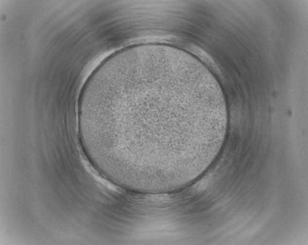 X0000074960844200609291911